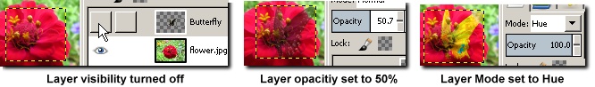 Layer option examples