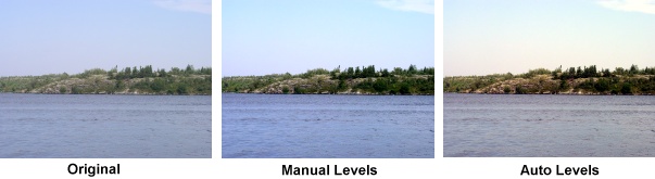 Manual and Auto Levels