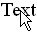 Re-enter the Text box
